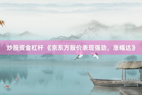 炒股资金杠杆 《京东方股价表现强劲，涨幅达》