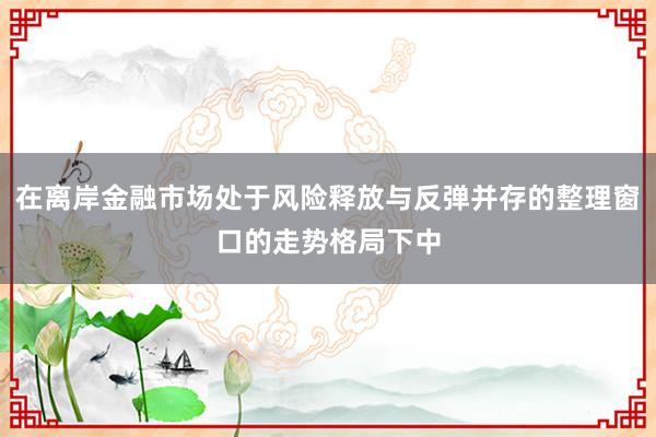 在离岸金融市场处于风险释放与反弹并存的整理窗口的走势格局下中