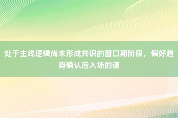 处于主线逻辑尚未形成共识的窗口期阶段，偏好趋势确认后入场的谨