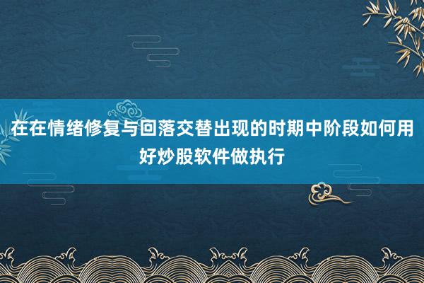 在在情绪修复与回落交替出现的时期中阶段如何用好炒股软件做执行