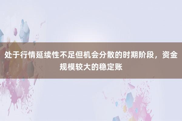 处于行情延续性不足但机会分散的时期阶段，资金规模较大的稳定账