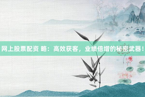 网上股票配资 略：高效获客，业绩倍增的秘密武器！